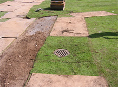 TDS crew carefully replaces sod around installed Catch Basin.