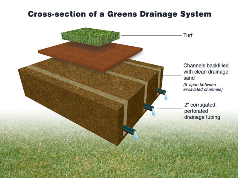 Cross-section of a Greens Drainage System.