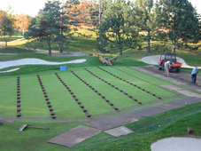Sod is carefully sectioned and rolled before excavation begins.