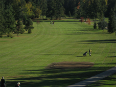 A few days after the Slit Drainage system was installed. The new tee deck was built with some of the excavated soil.