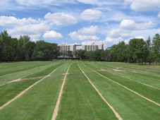 A completed fairway Slit Drainage project.